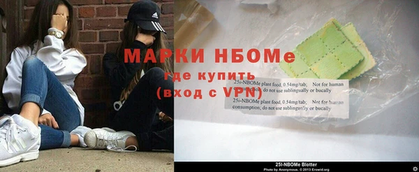 индика Армянск