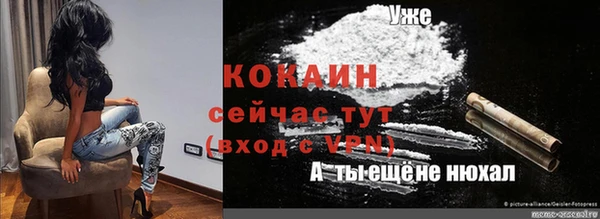 бошки Арсеньев