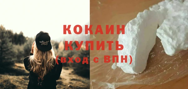индика Армянск