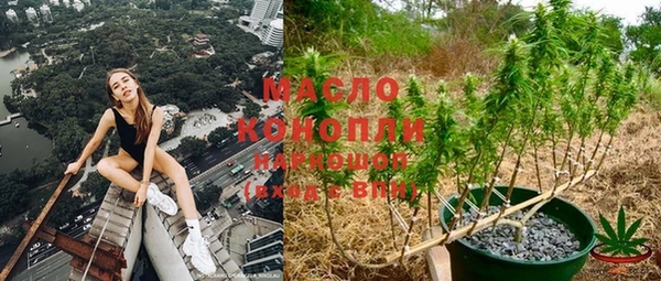 индика Армянск
