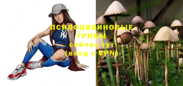 бошки Арсеньев