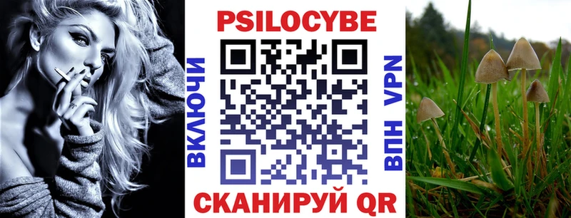 где купить наркоту  Межгорье  Псилоцибиновые грибы прущие грибы 